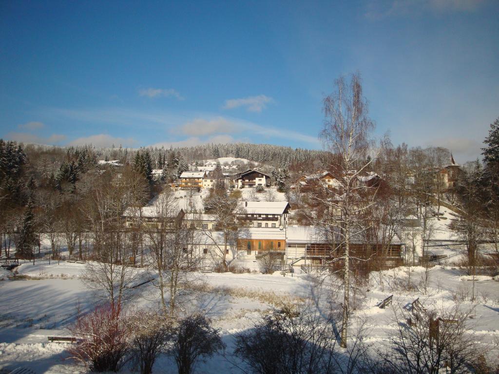 Apartments Josef Seitz Bayerisch Eisenstein Værelse billede